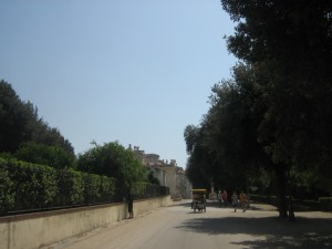 IMG 4867