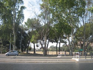 IMG 4877