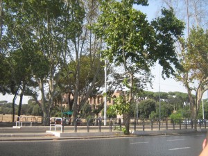 IMG 4878