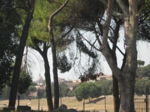 IMG 4880
