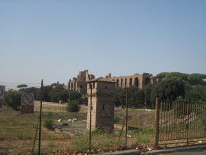 IMG 4881