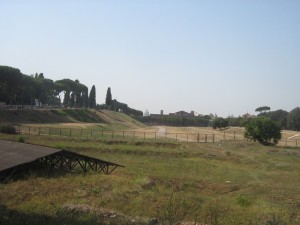 IMG 4882