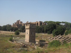 IMG 4883