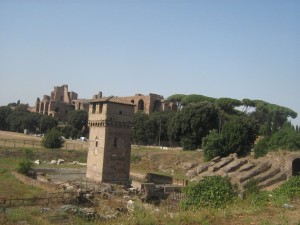 IMG 4884