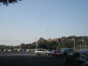 IMG 4885