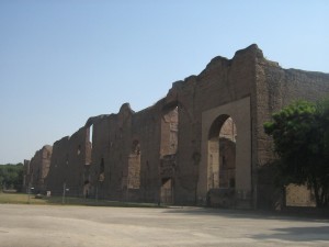 IMG 4890