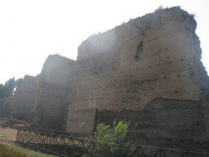 IMG 4894