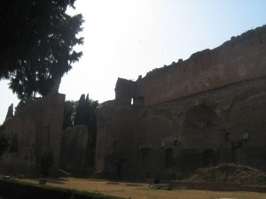 IMG 4895
