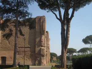 IMG 4898