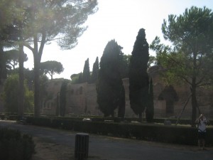 IMG 4899