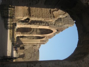 IMG 4906