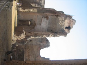 IMG 4907