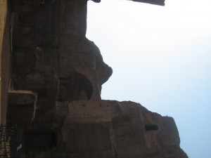 IMG 4908