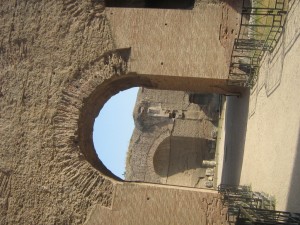 IMG 4910