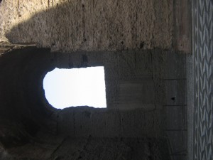 IMG 4916