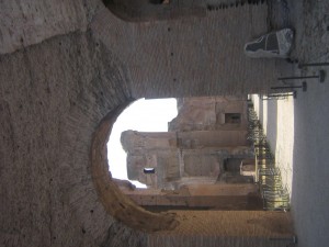 IMG 4920