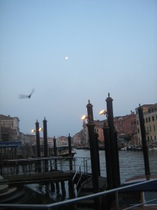 IMG 4945