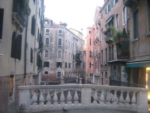 IMG 4955