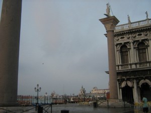 IMG 4981
