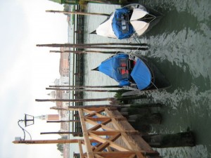 IMG 4986