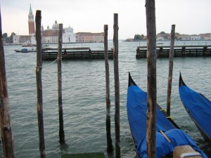 IMG 4996