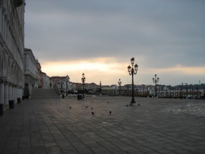 IMG 5003