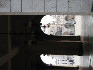 IMG 5021