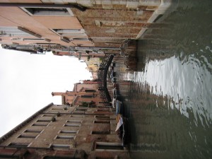 IMG 5042