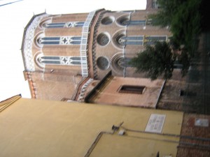 IMG 5056
