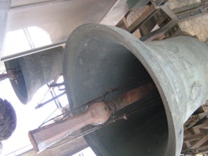 IMG 5131