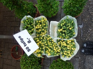P1540030