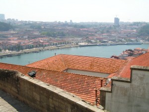 PICT0052