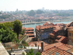 PICT0065