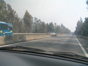 PICT0081