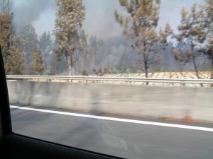 PICT0082