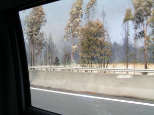 PICT0083