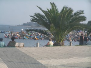PICT0087