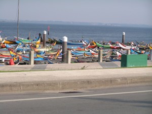 PICT0088