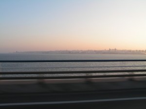 PICT0217