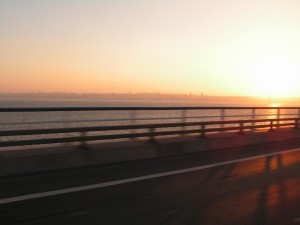 PICT0223