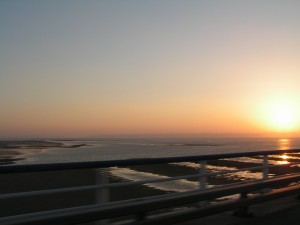 PICT0226