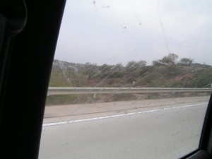 PICT0284