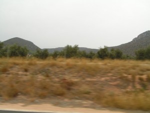 PICT0286