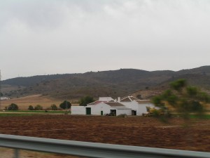 PICT0295