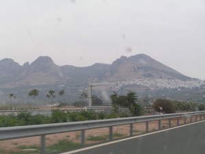 PICT0296