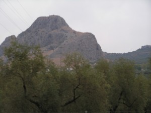 PICT0299