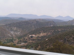 PICT0302