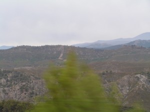 PICT0305