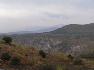 PICT0306