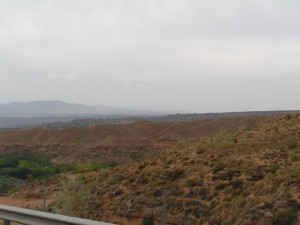 PICT0309